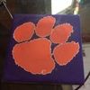 clemson31